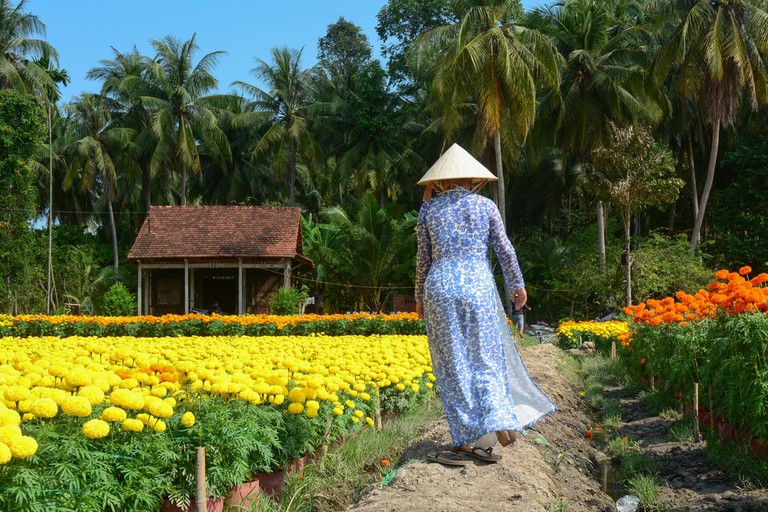 A Guide To The Mekong Delta, Vietnam